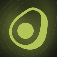 avoVPN — VPN приложение